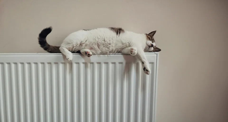 Energetische Sanierung: Steigern Sie den Wert Ihrer Immobilie!